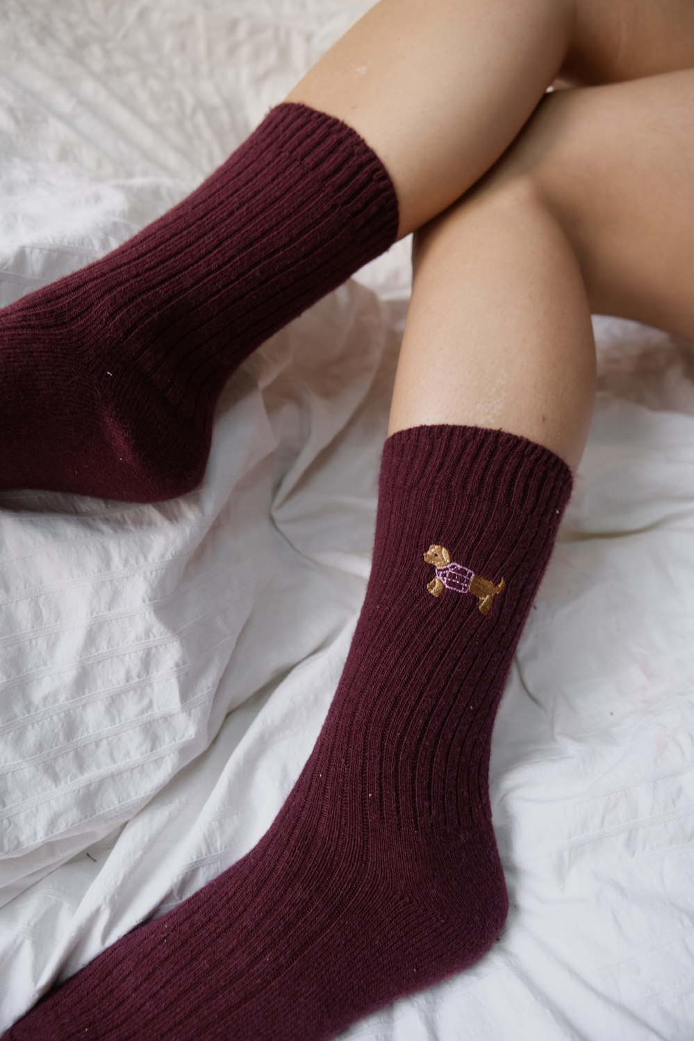 Chaussettes Teckel Lover Club – Image 3