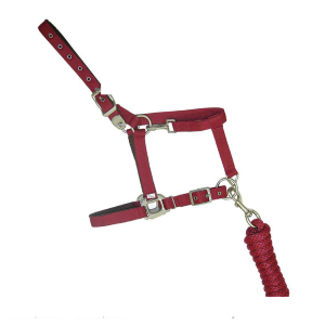 Bride d’Ecurie Dragon Fly Cob