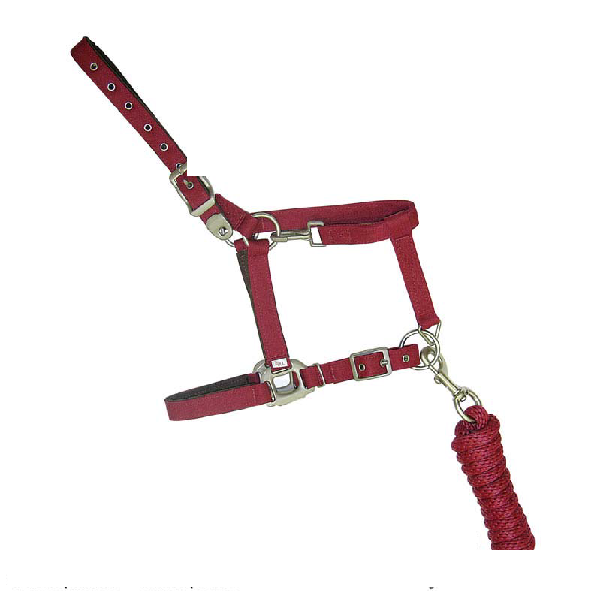 Bride d’Ecurie Dragon Fly Cob