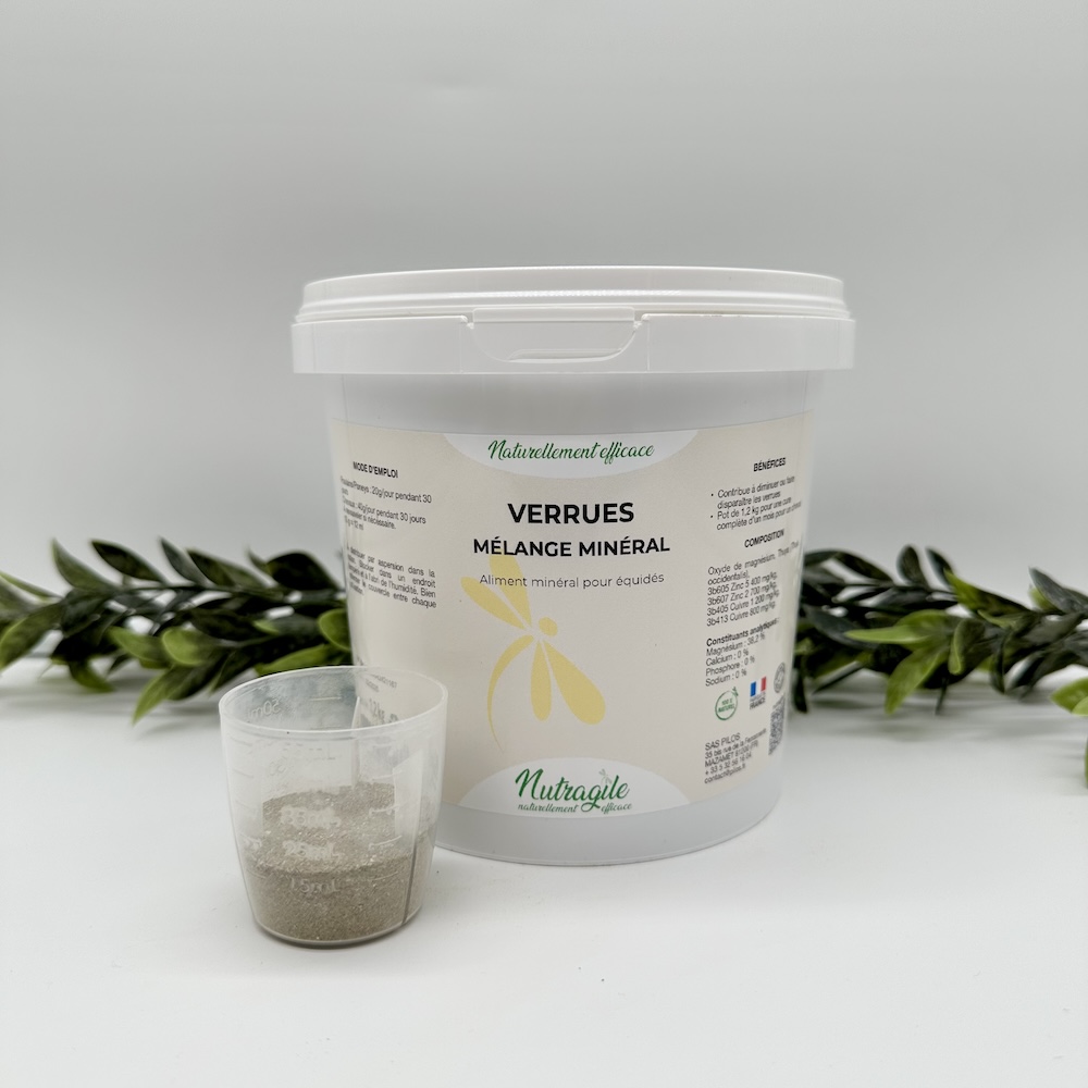 Nutragile Stress TR poudre